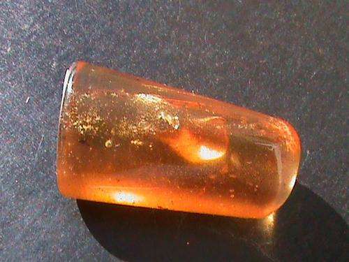 POLISHED AMBER WITH INSECTS + LEAF