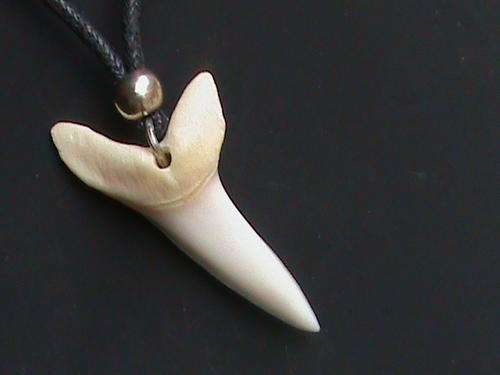MAKO SHARK TOOTH NECKLACE