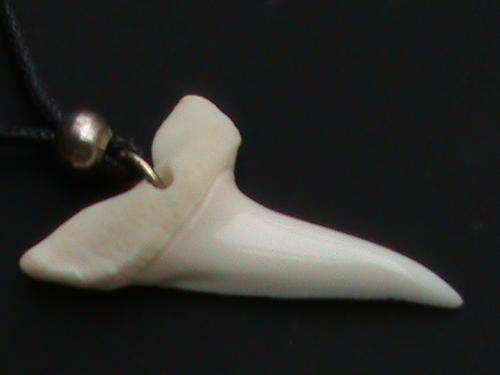 MAKO SHARK TOOTH NECKLACE