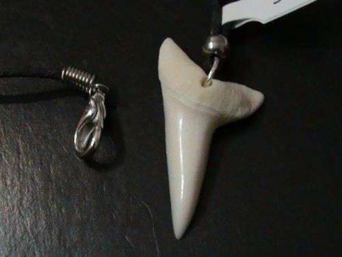 SHARK TOOTH NECKLACE,   48 CM LONG