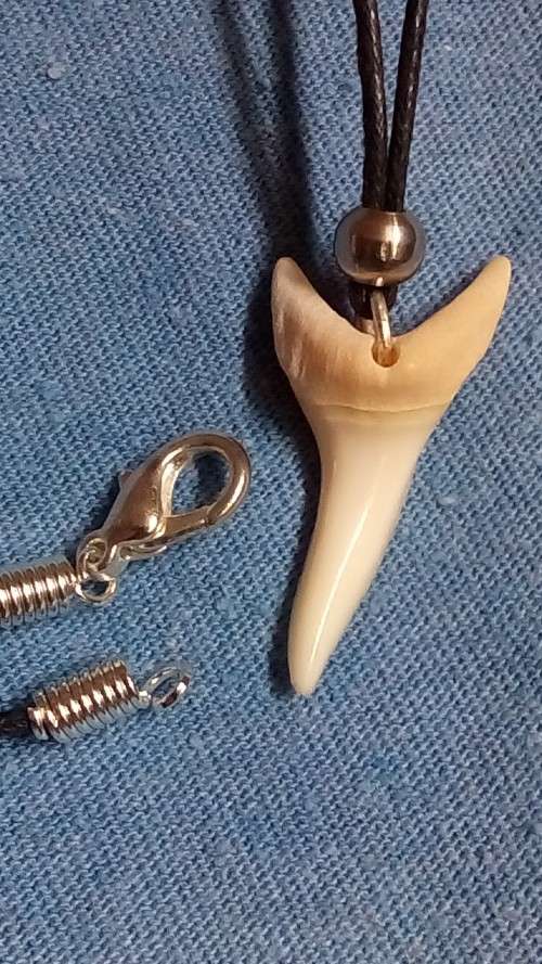 GENUINE MAKO SHARKS TOOTH NECKLACE.  60 CM LONG
