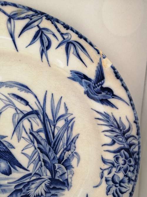 Circ 1850`s JRB Cyprus Ironstone Dinner and Side Plate , Bird Motif