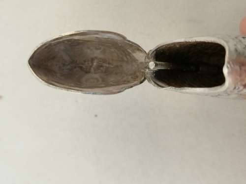 An Outstanding Silver Plated Fish Vesta Case