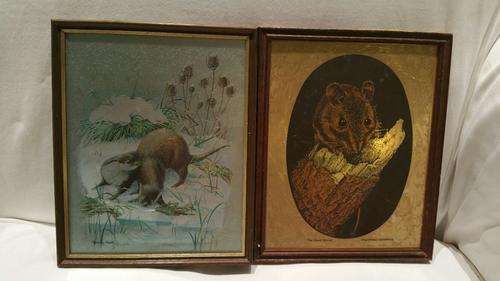 Foil Art  Etching, Audrey North, Otters in the Snow and a metal print of a Wood Mouse
