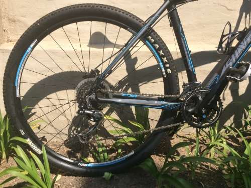 Silverback Sola 4 (2014) - Large