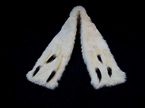 Fur Collar. Genuine Vintage Ermine Fur Collar.