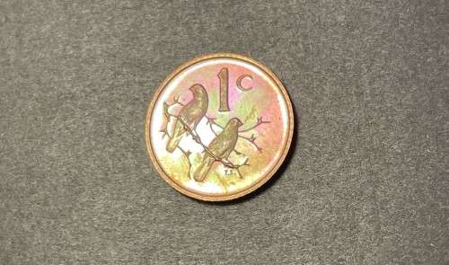 1969 RSA proof Afrikaans 1c (1 cent) coin - Excellent toned