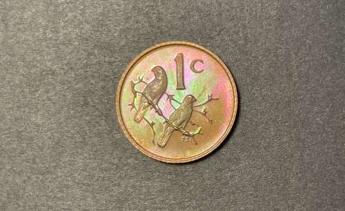 1969 RSA proof Afrikaans 1c (1 cent) coin - Excellent toned