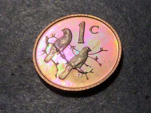 1969 RSA proof Afrikaans 1c (1 cent) coin - Excellent toned