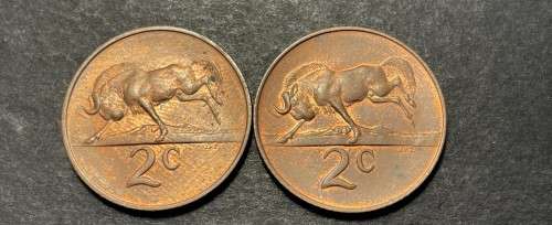 Set of 2 1966 RSA 2 cent coins