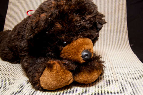 SOFT CUDDLY PRE-LOVED BROWN BEAR