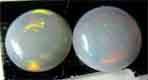 2 pieces of 4.50 mm Round Opal T.W. 0.41 ct
