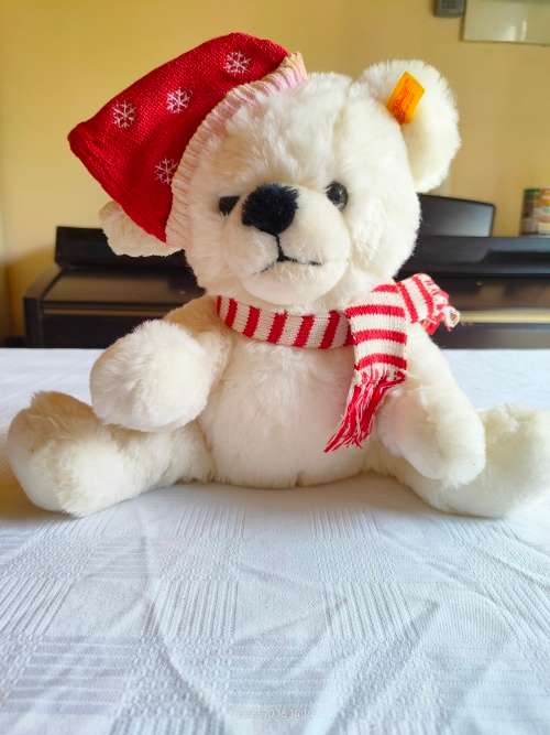 Collectable, rare original Steiff Christmas bear - Teddy Bernd