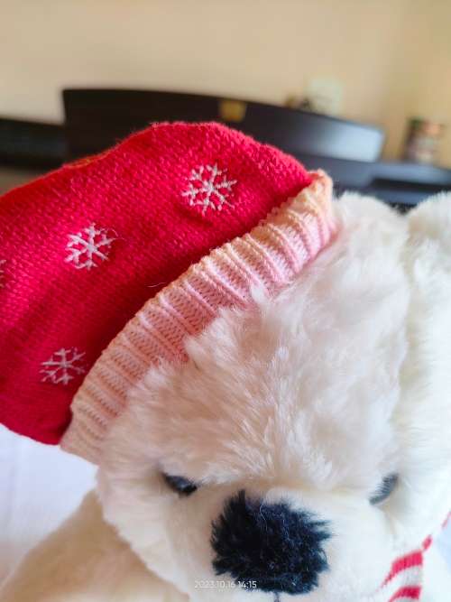 Collectable, rare original Steiff Christmas bear - Teddy Bernd