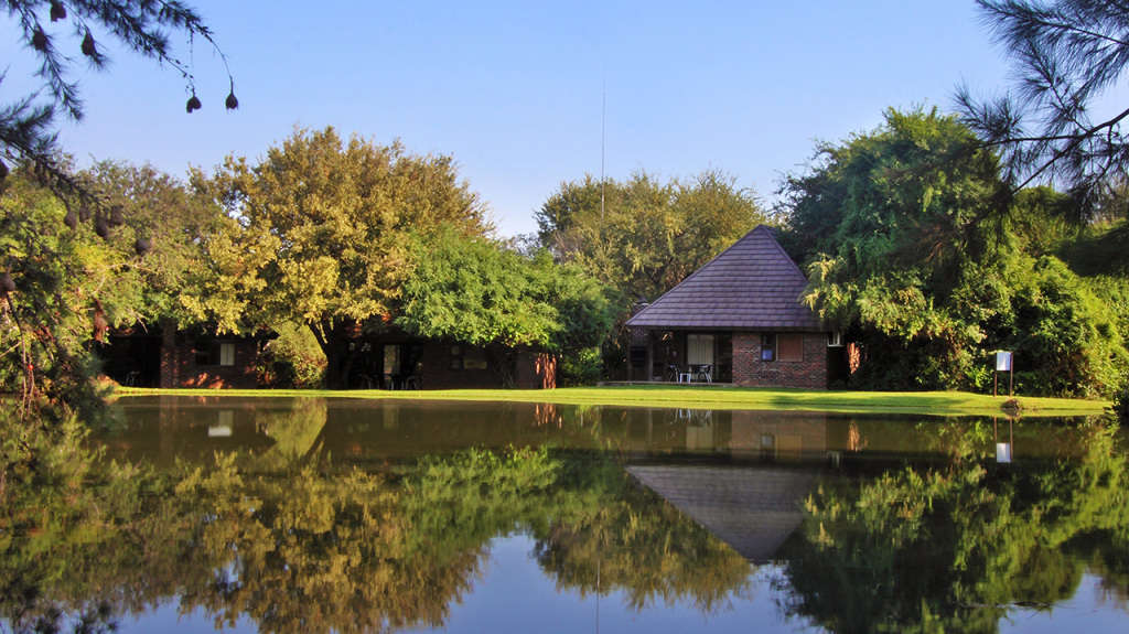 Ngwenya Lodge (Kruger Park) 9-13 December 2024