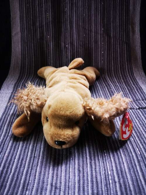 Lovely TY Beanie baby - with very unusual error!