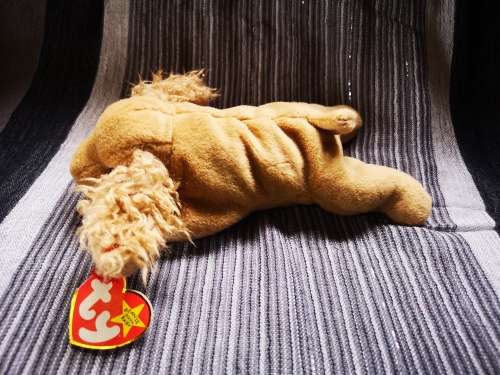 Lovely TY Beanie baby - with very unusual error!