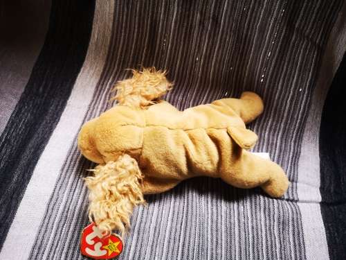 Lovely TY Beanie baby - with very unusual error!