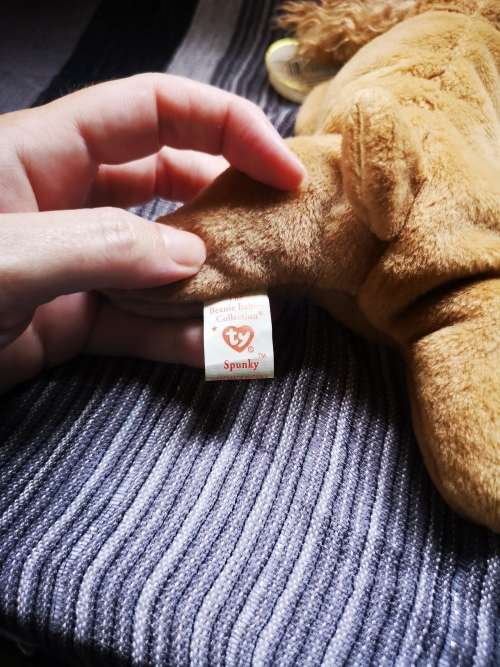 Lovely TY Beanie baby - with very unusual error!