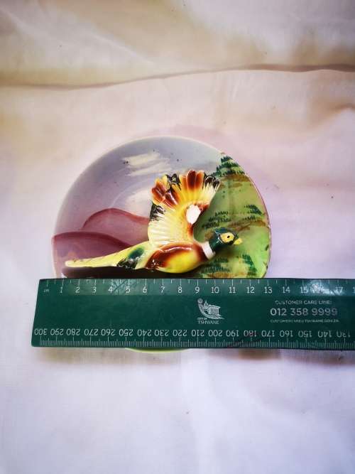 A beautiful Capri hand painted 3D plate /wall hanging