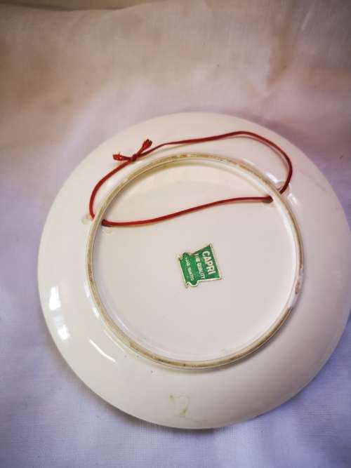 A beautiful Capri hand painted 3D plate /wall hanging