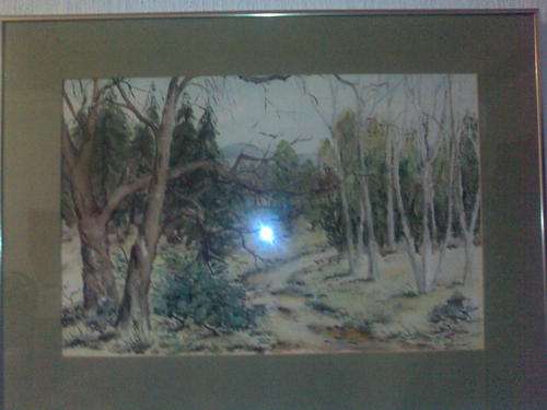 Beautiful original watercolour painting by I FitzGerald!