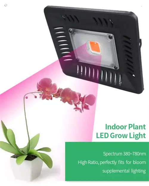 LED COB Grow Light Full Spectrum 50W Growing Lamp For Indoor Garden Plant Growing