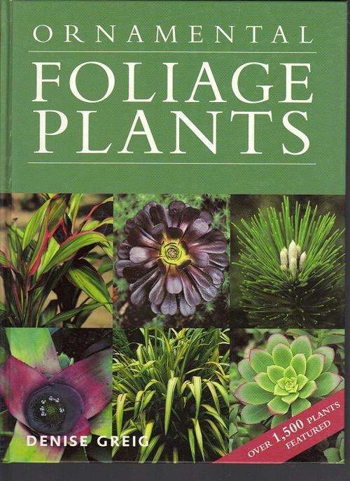 ORNAMENTAL FOLIAGE PLANTS (Postage R45) Beautiful Book by Pub Firefly (400 pages)