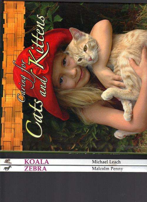 3 x NEW Informative Books for Children (6-10 y) see more scans (Postage R40)