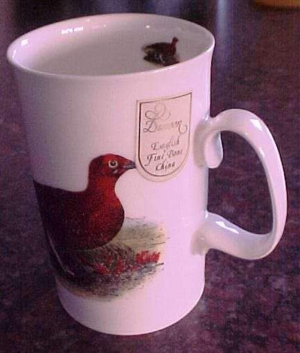 Dunoon England Coffee Mug