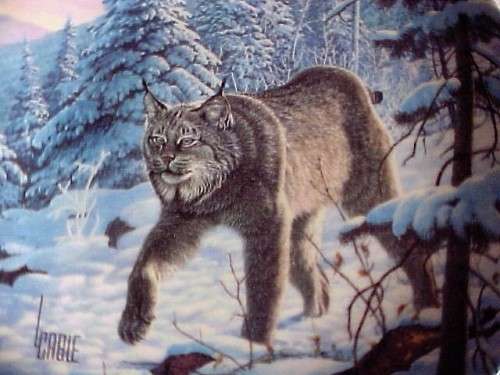 KNOWLES - THE LYNX WALL PLATE  IN ORIGINAL BOX & CERTIFICATE