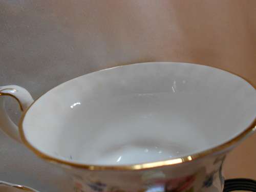 Royal Albert Moss Tea Cup