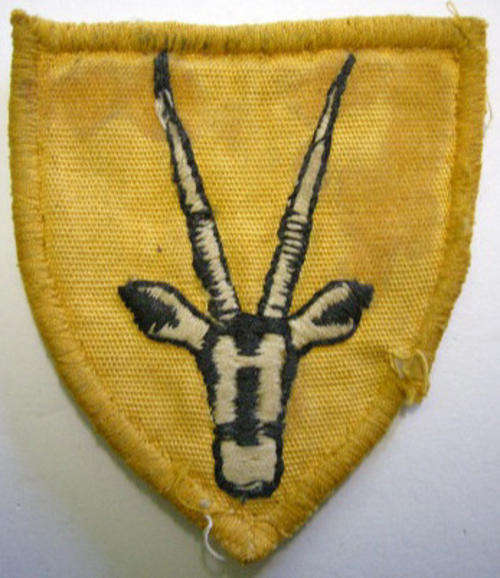 8 SAI Shoulder Flash Embroidered Poor Condition Smaller Than Tracksuit Badge Dinnes 1614 50mm x 55mm