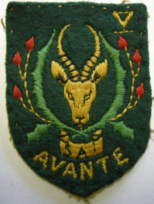 5 SAI Shoulder Flash Embroidered on Felt Dinnes 1610