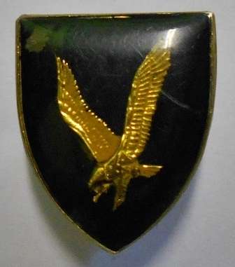 SAAF 42 Squadron Lapel Pin Dinnes 4134