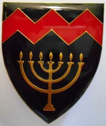 University Potchefstroom Regiment Shoulder Flash Pins Intact Dinnes 4460