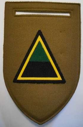 Infantry A COY Flash Rubberised Pin Intact Dinnes 5708