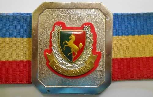 Technical Services Training Centre Stable Belt Length of Belting 106cm