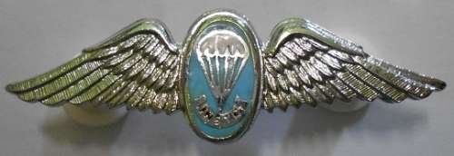 SA Parachute Static Line Instructor Chrome & Enamel Mess Dress Wing