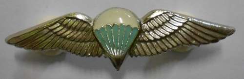 SA Parachute Despatcher or 50 Jumps or More Chromed Wing Mess Dress