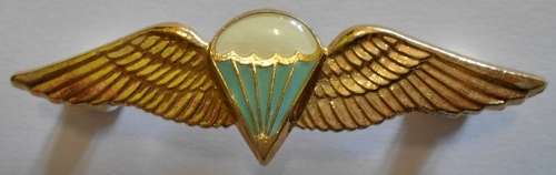 SA Parachute Basic Paratrooper 8 Jumps or More Lucite Covered Wing Full Size