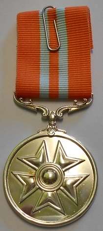 Full Size Pro Virtute Medal Numbered Marked Silver 12cm Ribbon