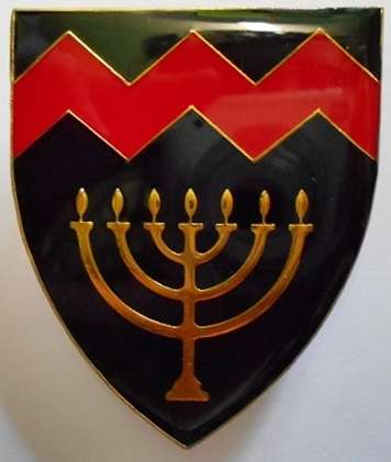 Regiment University of Potchefstroom Shoulder Flash Pins Intact Dinnes 4460