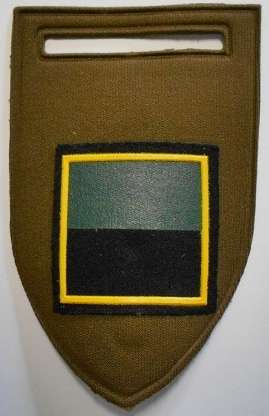Infantry B COY Rubberised Flash Pin Intact