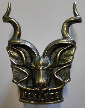 SWATF Area Force Cap Badge Dinnes 1254