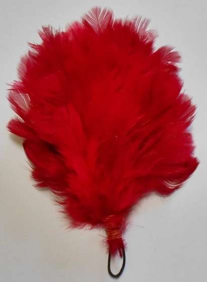 Transvaal Scottish Red Hackle