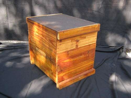 New Bee hive
