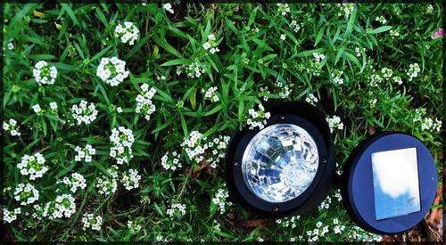 Solar Spot light
