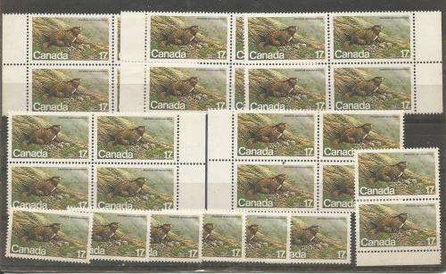 CANADA   UN MOUNTED MINT  BLOCKS  & ODDS DUPP.LOT