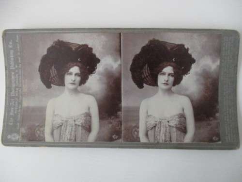 VICTORIAN - STEREOSCOPE CARD -  1800'S